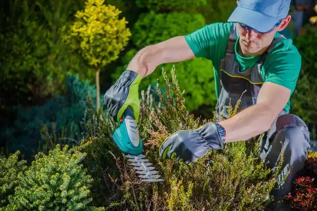 landscaping services South Blooming Grove